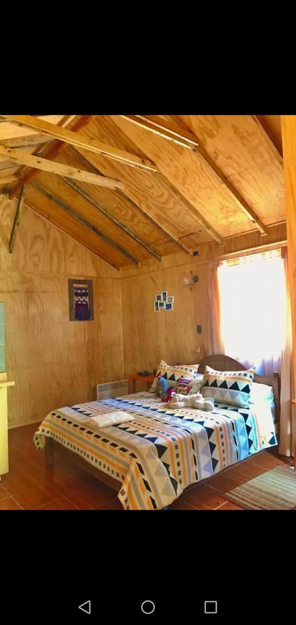 Lodge Cajon Del Maipo Los Olmos Сан-Хосе-де-Майпо Экстерьер фото